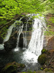 0805121131.jpg