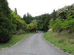 0805121722.jpg