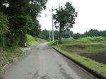 0805131100.jpg