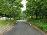 0805131109.jpg