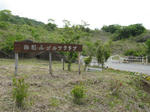 0805131116.jpg