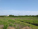 0805131615.jpg