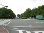 0805140923.jpg