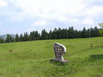 0805141313.jpg