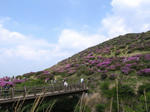 0805141341.jpg