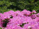 0805141345.jpg