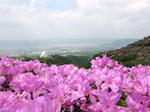 0805141346.jpg