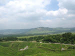 0805141405.jpg