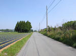 0805150951.jpg