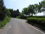 0805151015.jpg