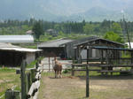 0805151401.jpg