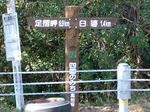 0211110956.jpg