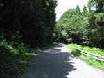 0807281108.jpg