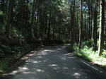 0807281109.jpg