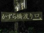 0609231355.jpg