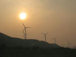 2008_05.jpg