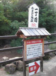 0810121518.jpg