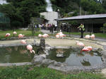 0810121557.jpg