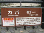 0810121559.jpg