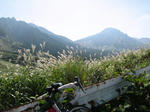 0810131401.jpg