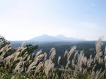 0810131448.jpg