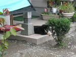 0810141256.jpg