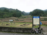 0810141322.jpg