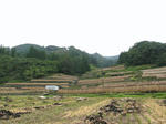 0810141324.jpg