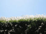 0810151149.jpg