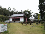 0811231425.jpg