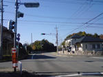 0811261105.jpg
