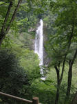 0608291101.jpg