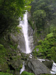 0608291106.jpg