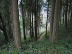 0812211123.jpg