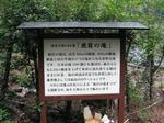 0812211126.jpg