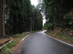 0812221313.jpg