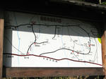 0812231130.jpg