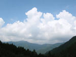 0608021108.jpg