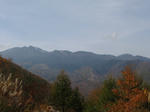 0610221226.jpg