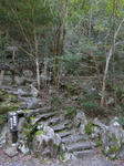 0611121047.jpg
