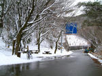 0303091150.jpg