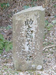 0303231007.jpg