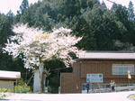 0504171135.jpg