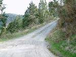 0504171530.jpg