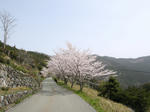 0604181032.jpg