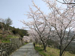 0604181035.jpg