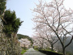 0604181036.jpg