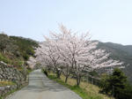0604181034.jpg