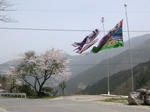 0604181150.jpg