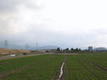 0903041655.jpg